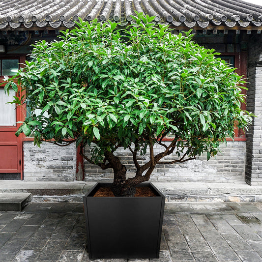 Powder Coating Metal Planter