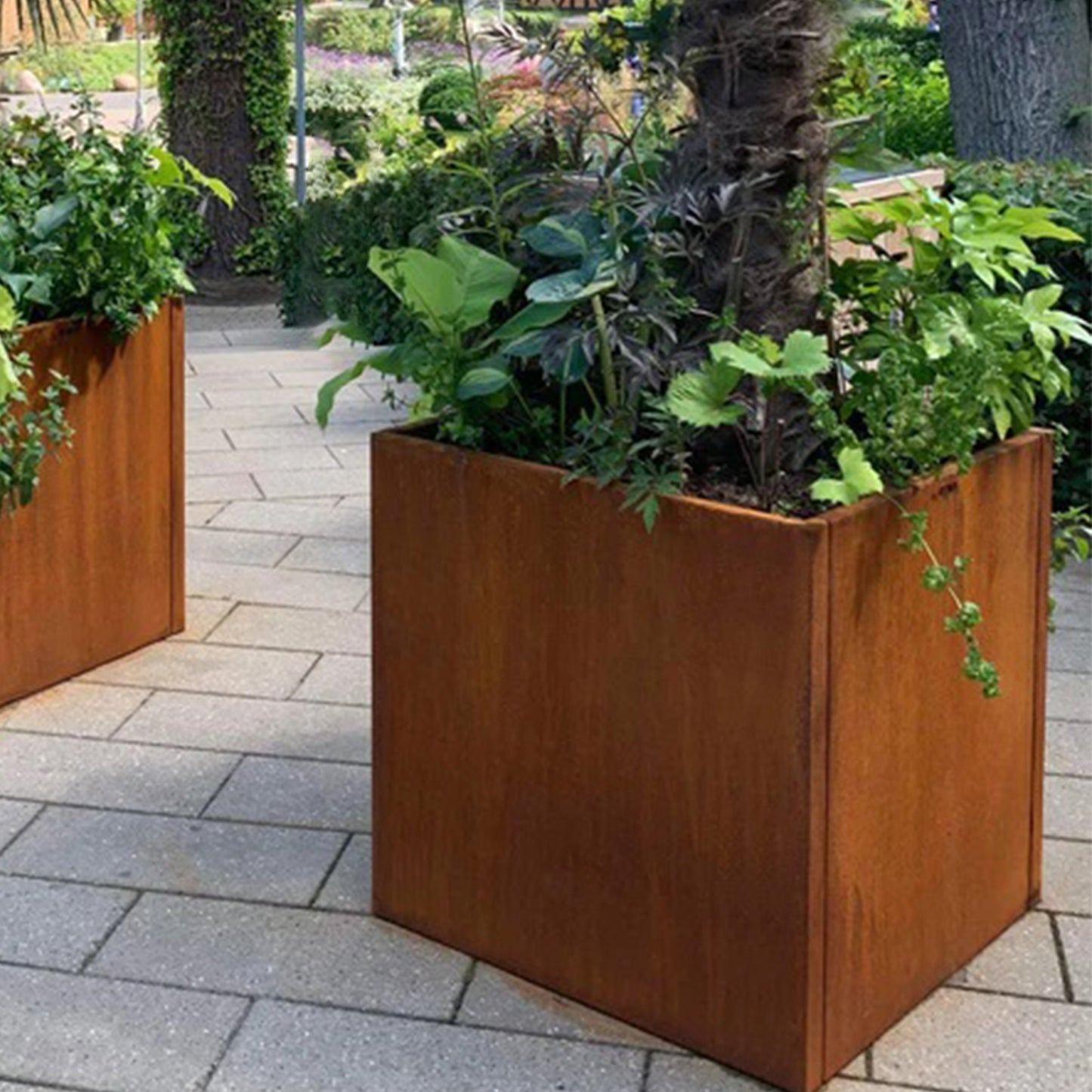 Corten Steel Planter