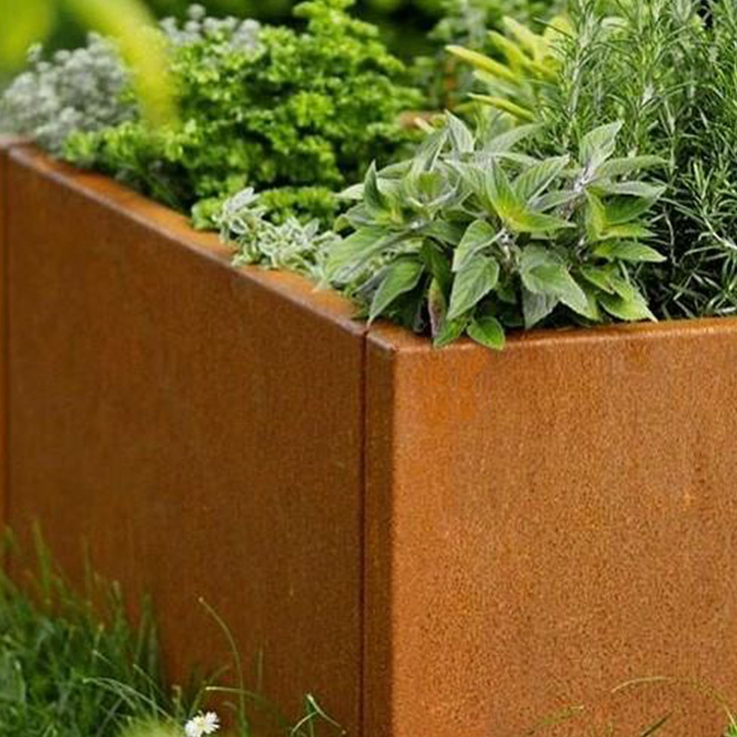 Corten Steel Planter