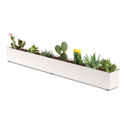 Window Sill Planter